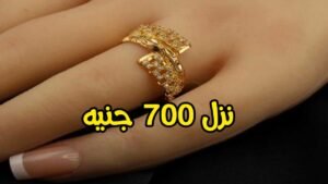 أسعار الذهب اليوم في مصر 31 يناير 2026