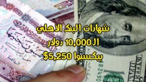 شهادات البنك الأهلي 2026 أرباح 10,000 دولار