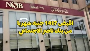 أرباح 100 ألف جنيه شهريا في شهادة بنك ناصر 2026