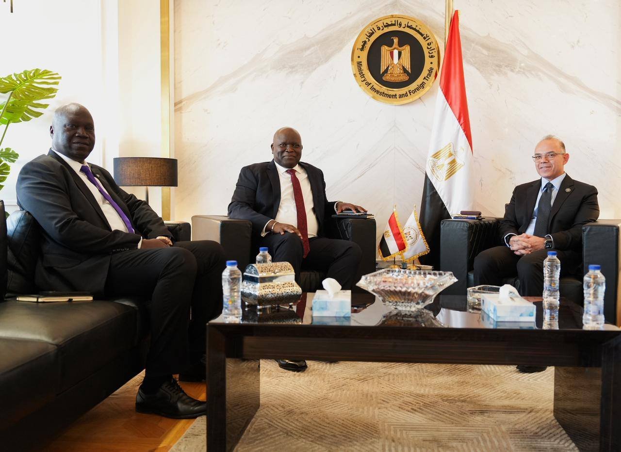 وزير الاستثمار المصري والجنوب سوداني