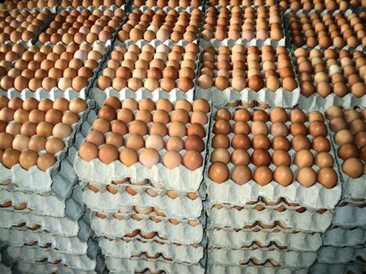 هبوط سعر طبق البيض