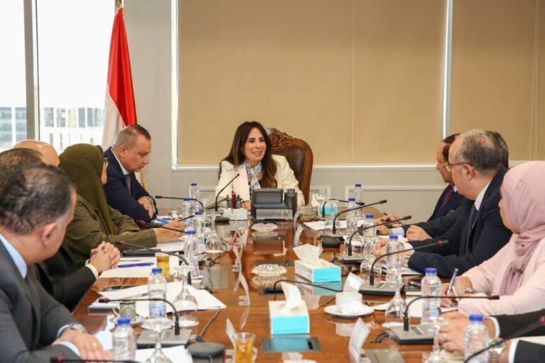 وزيرة الإسكان تناقش قانون المطورين العقاريين